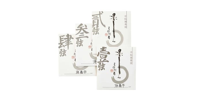 Zhong Ruan Strings